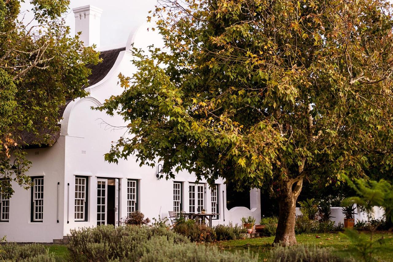 Jacaranda Wine And Guestfarm Villa Wellington Exterior photo