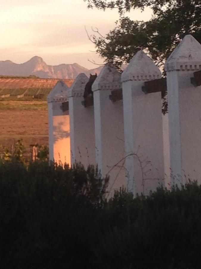 Jacaranda Wine And Guestfarm Villa Wellington Exterior photo