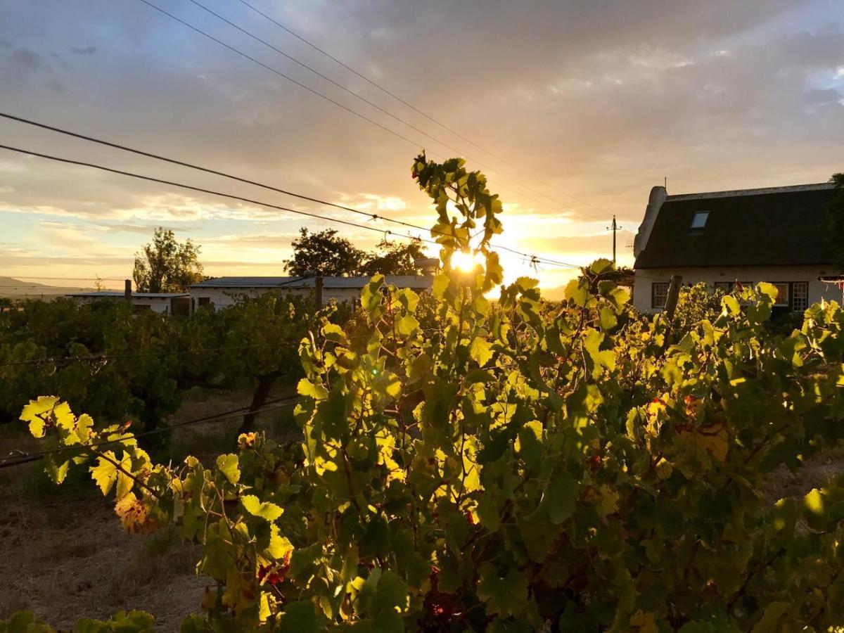Jacaranda Wine And Guestfarm Villa Wellington Exterior photo