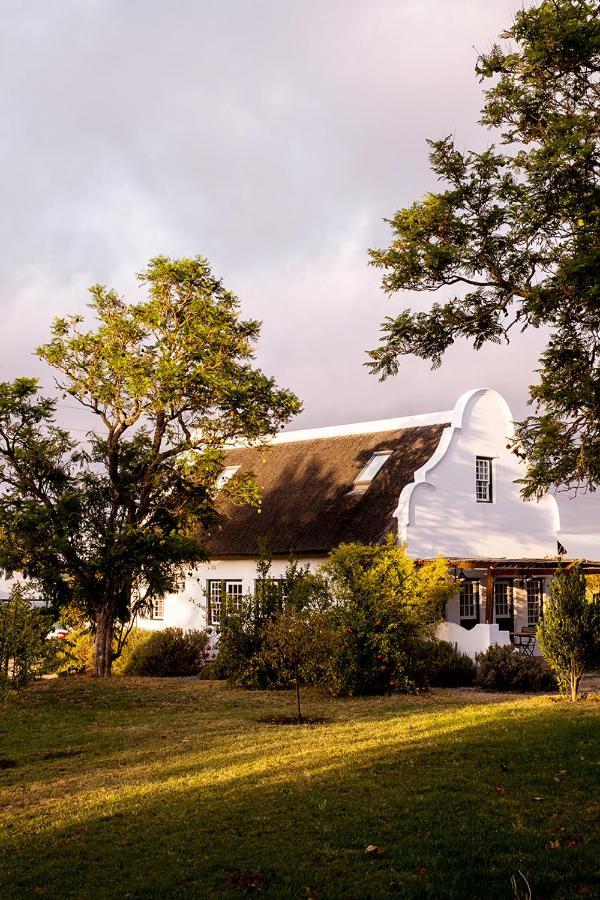 Jacaranda Wine And Guestfarm Villa Wellington Exterior photo
